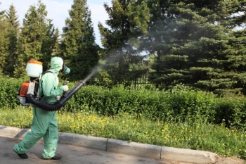 Уничтожение комаров в Подольске